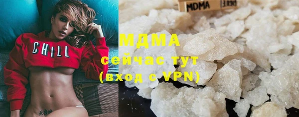 прущие грибы Магас