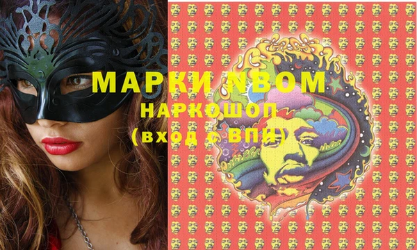 прущие грибы Магас