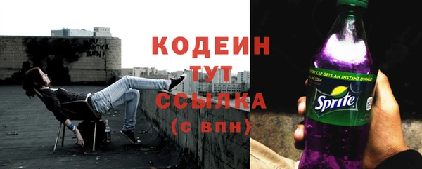 прущие грибы Магас