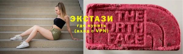 прущие грибы Магас