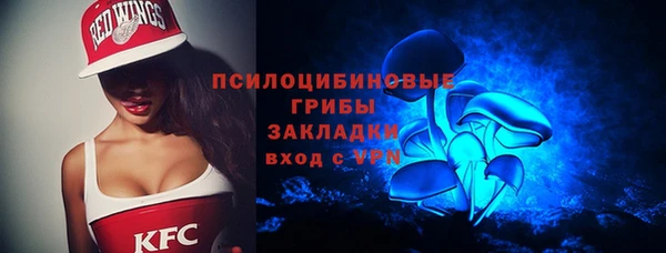 прущие грибы Магас