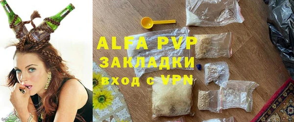 прущие грибы Магас