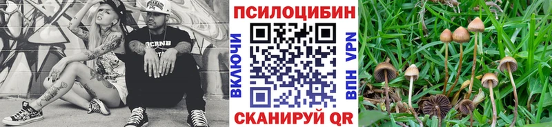 Псилоцибиновые грибы мухоморы  darknet клад  Оханск 